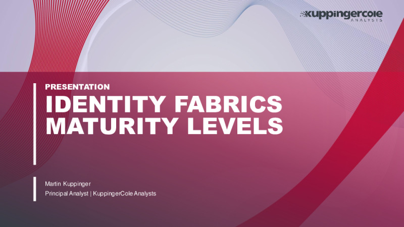 Identity Fabrics Maturity Levels