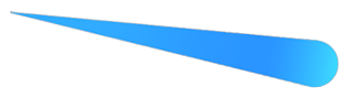 Bravura Software